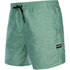 Мужские Брендовые Шорты Для Плавания Mystic - Sea Salt Green 210185